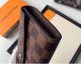 Женский вместительный кошелек Louis Vuitton (20005-1) brown Lux