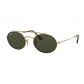 Сонцезахисні жіночі окуляри Ray Ban 3847 (912131) Lux 
